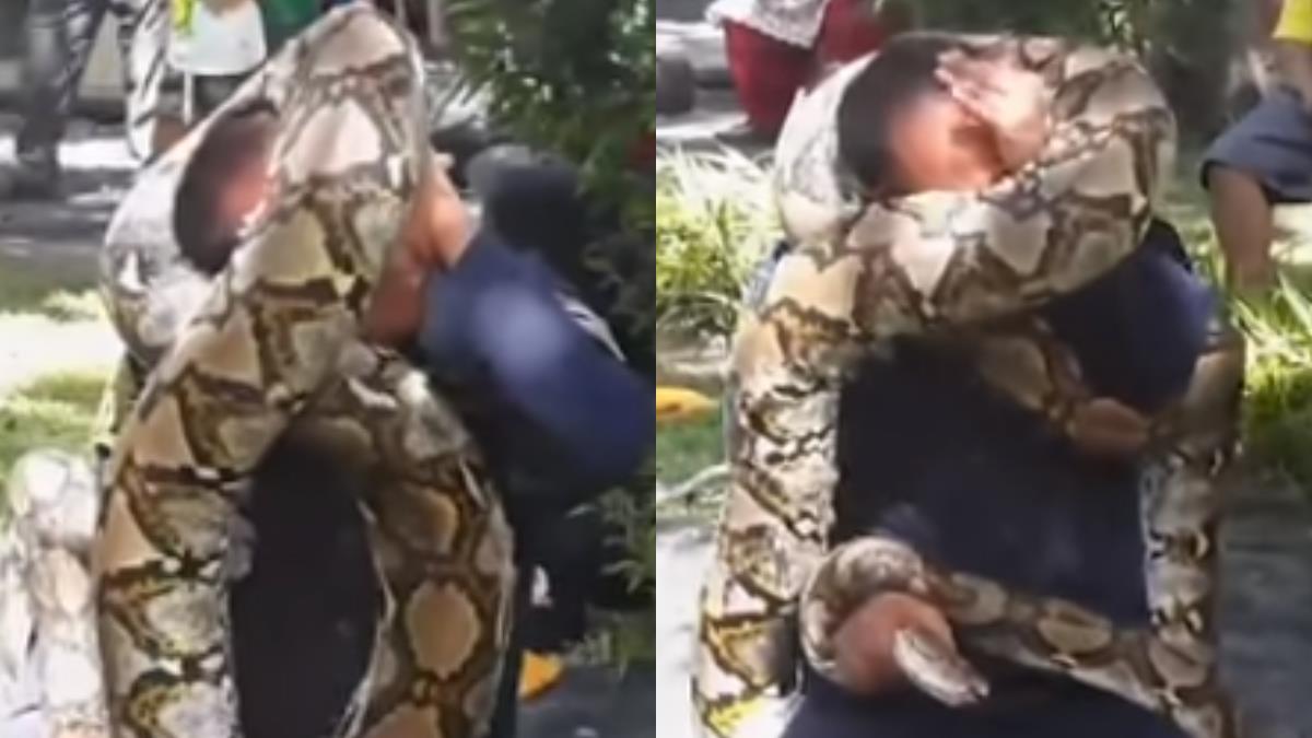 巨蟒纏繞如何脫困?消防員被勒到爆青筋…孩子看傻眼