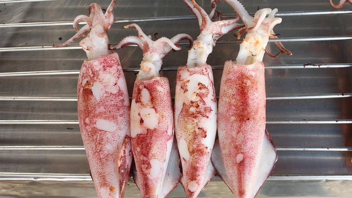 魷魚救海洋!絲蛋白可分解 有望取代塑膠