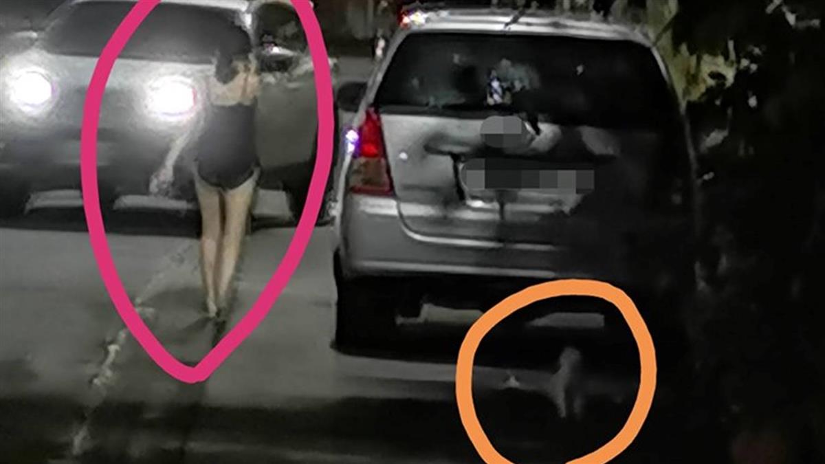 長腿妹遛狗!女PO照怒譙:沒繫繩 網全歪樓