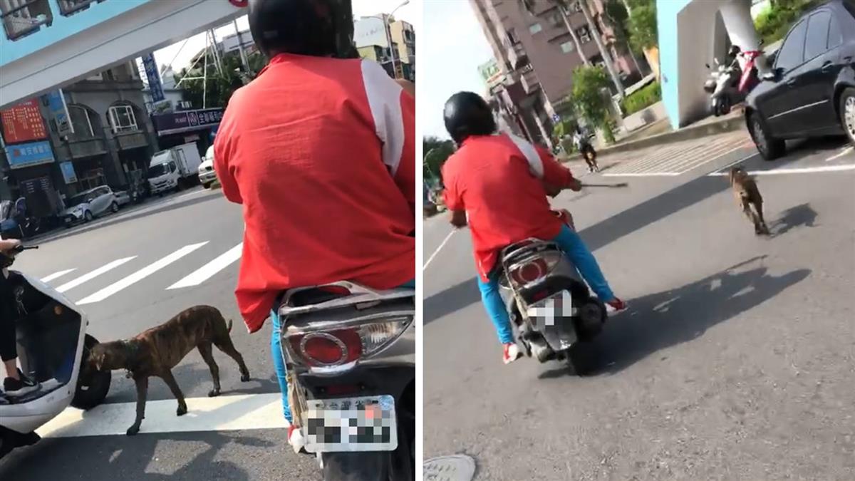 飼主烈日騎車遛狗 辯:這樣才會吃飯!網怒了