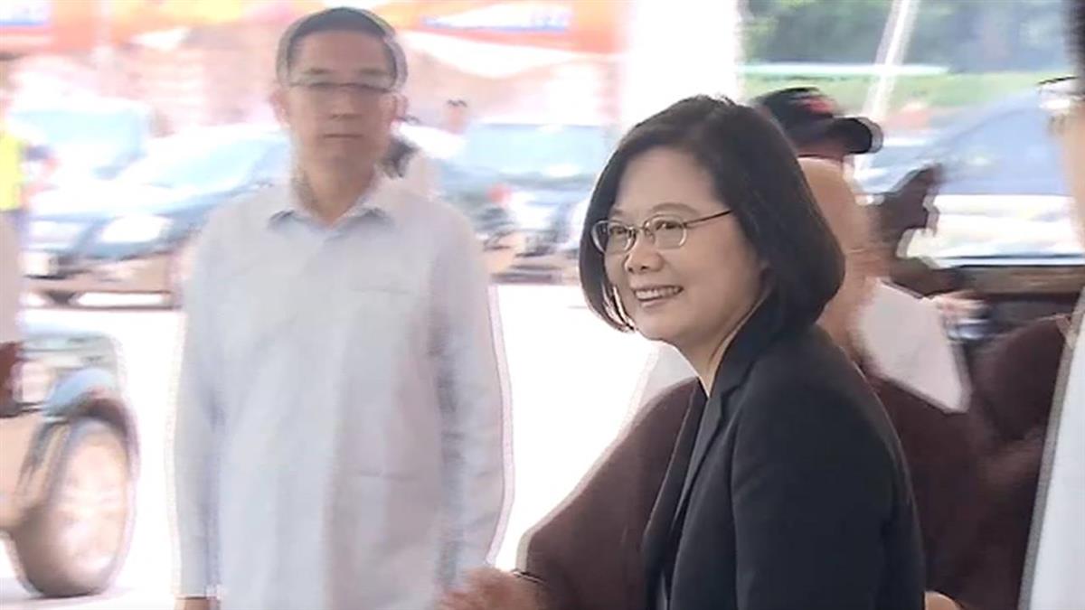 母雞無法帶小雞?蘋果民調:蔡升民進黨降