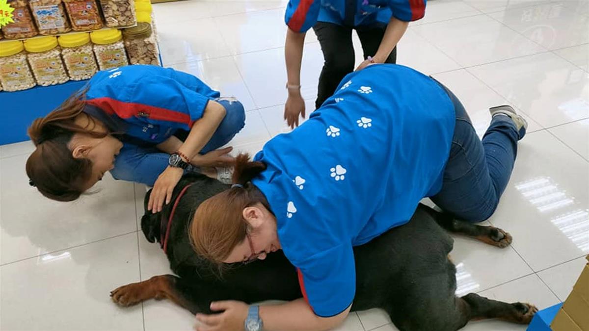 店員遇呆萌洛威拿！下秒猛撲直接「騎上去」