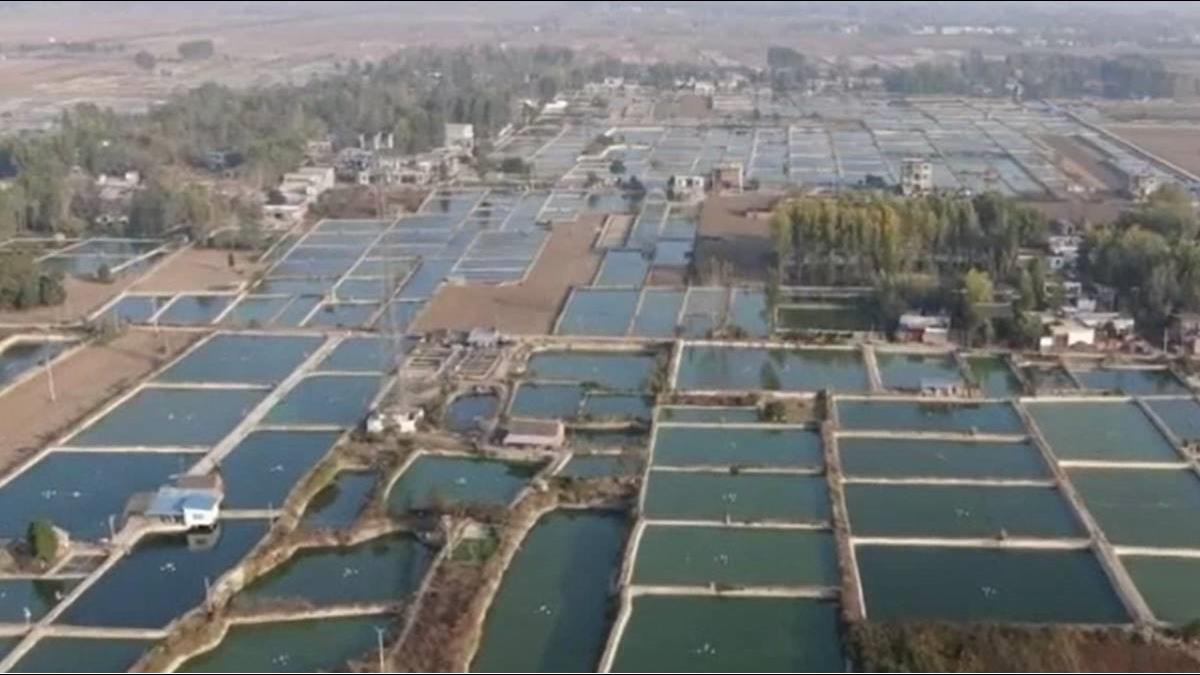 陸「淘寶村」產值破3兆!帶動683萬個工作機會