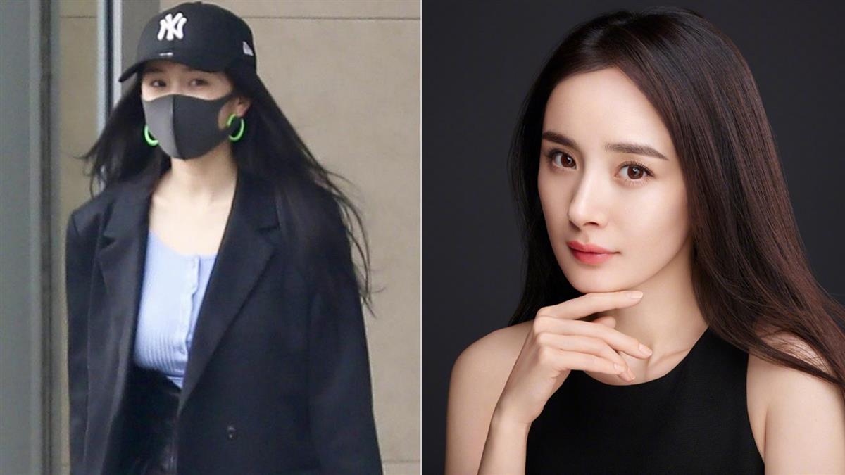 楊冪遭酸4問題走鐘 粉絲淚揭悲慘真相