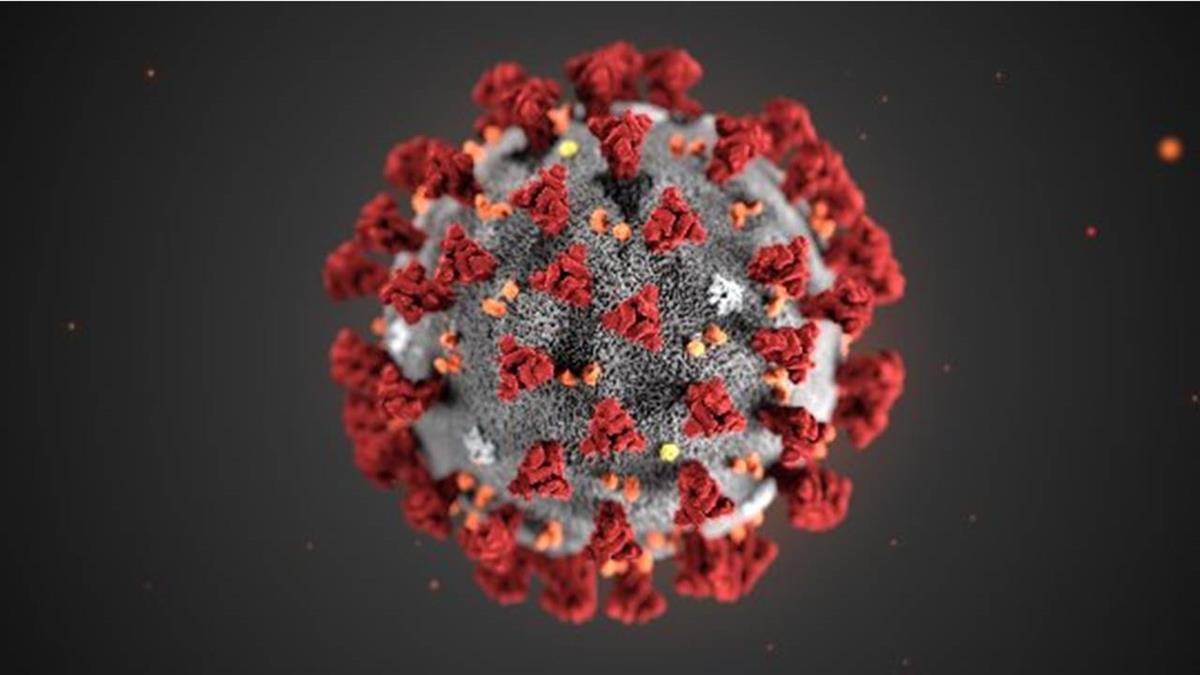 科學家發現武漢病毒「驚人突變」!警告:需嚴密監控