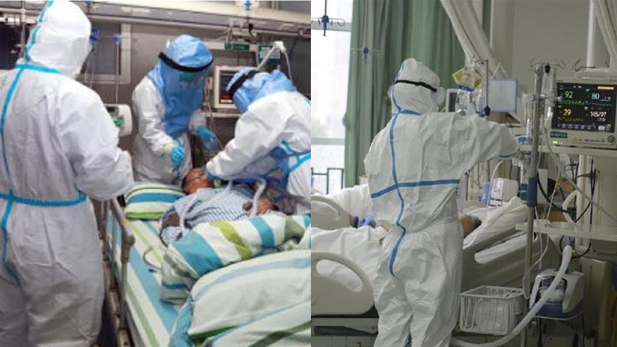 真相大白！台5例武肺基因定序 源頭多與這國有關