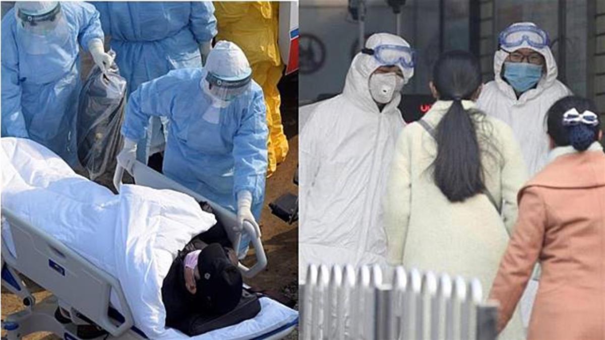 武肺有解了？澳洲研究發現「這東西」可殺死病毒