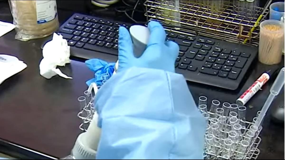 武肺候選疫苗有效！國光生：目標下半年啟動人體試驗