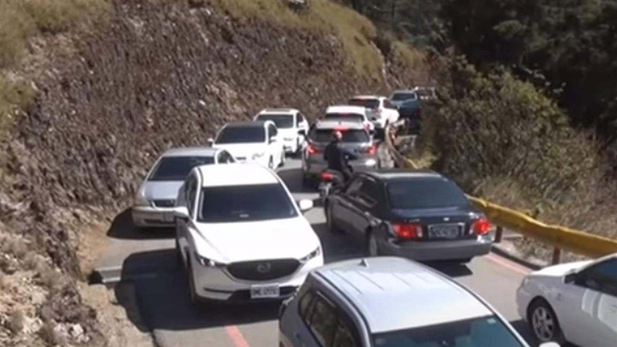 開單多3成！萬人湧合歡山賞杜鵑花　車違停亂象多