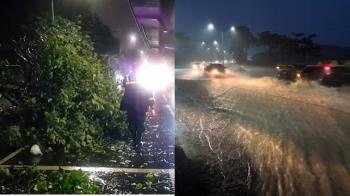快訊／高雄豪雨強襲！路樹倒多處積水 9車10人受困