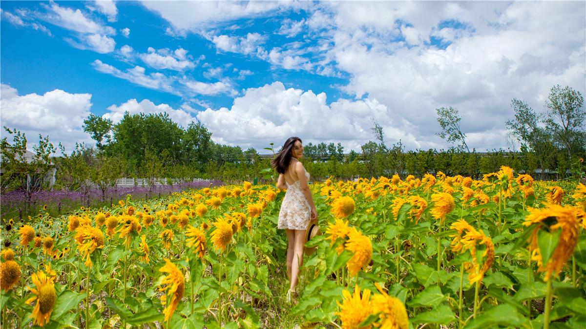 對這幾個星座女千萬別只暗戀