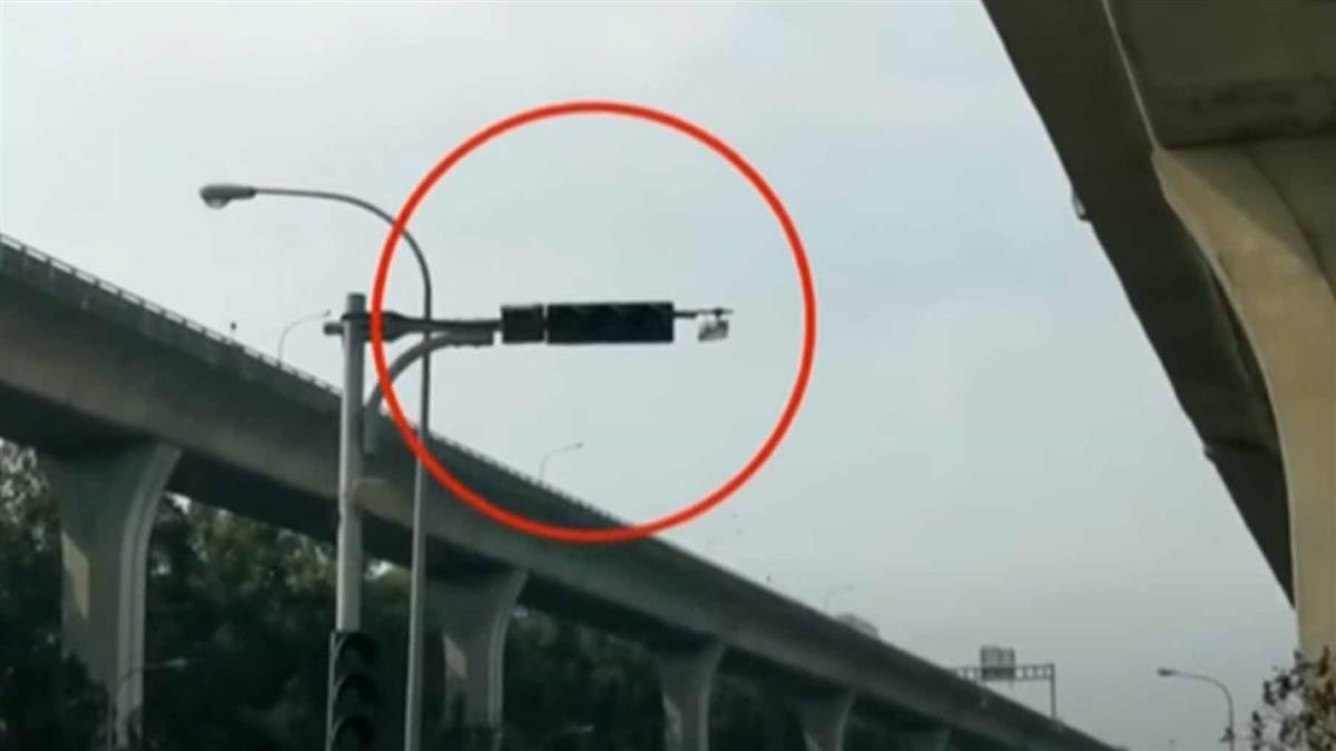 高價海鮮餐廳遇停電 急撈海鮮暫時安置海中