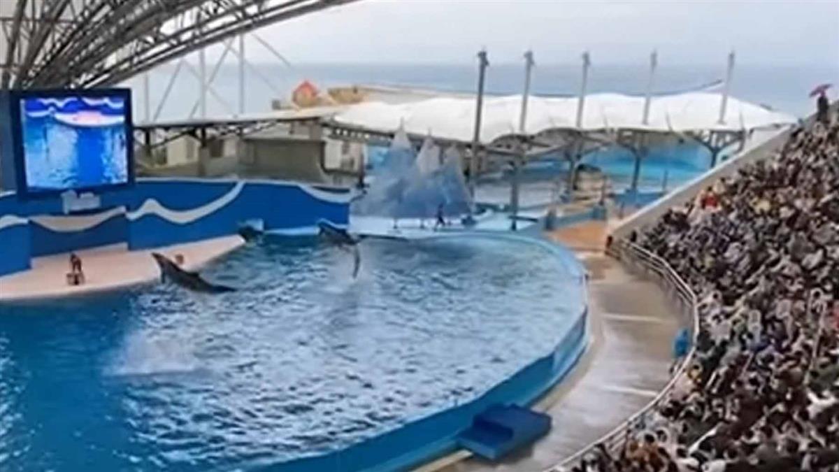 疫情雖嚴峻...東部湧大批遊客 景點停車場停滿