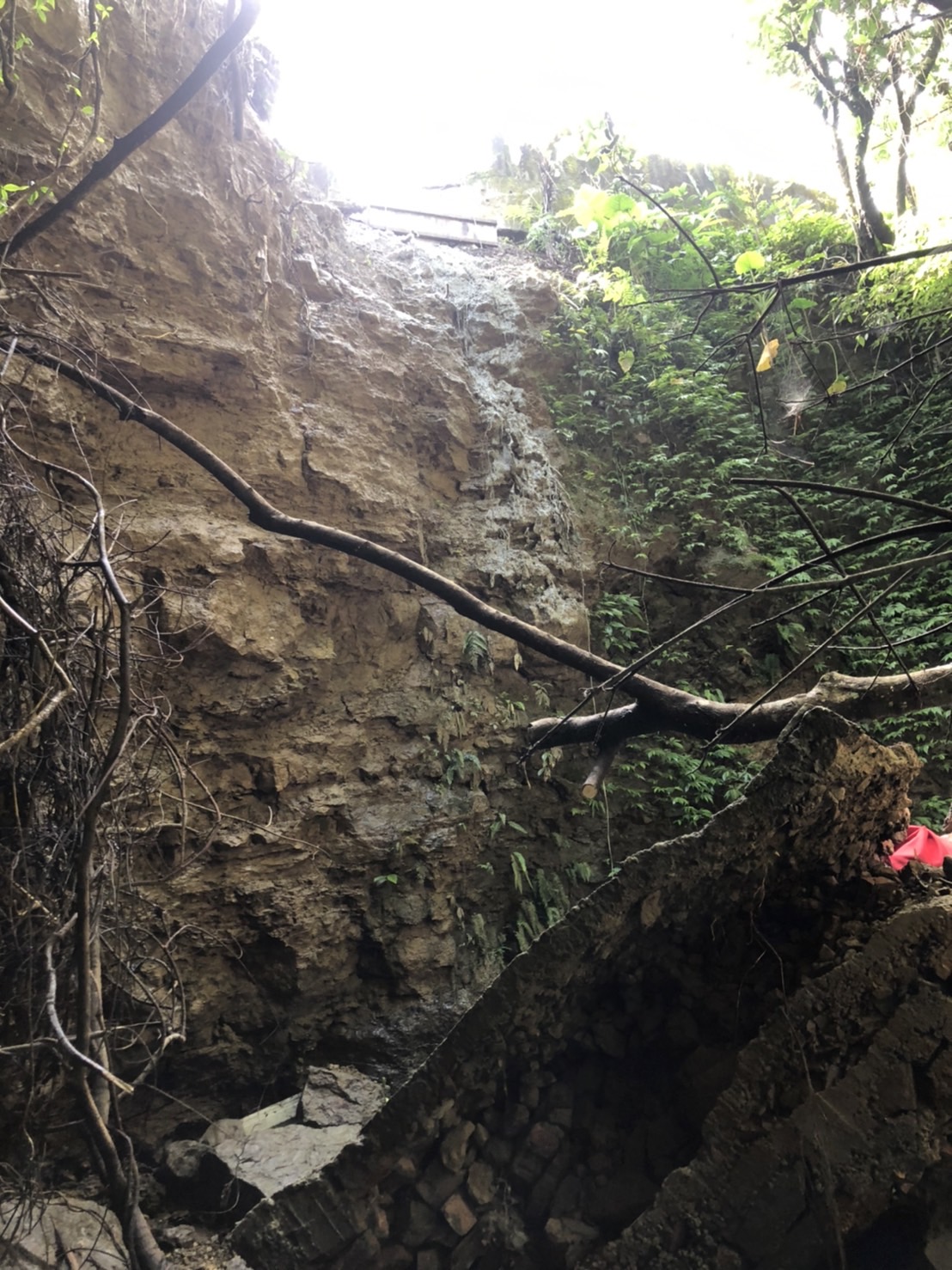 ▼男子然跌落邊坡，妻子見狀嚇壞了。（圖／翻攝畫面）