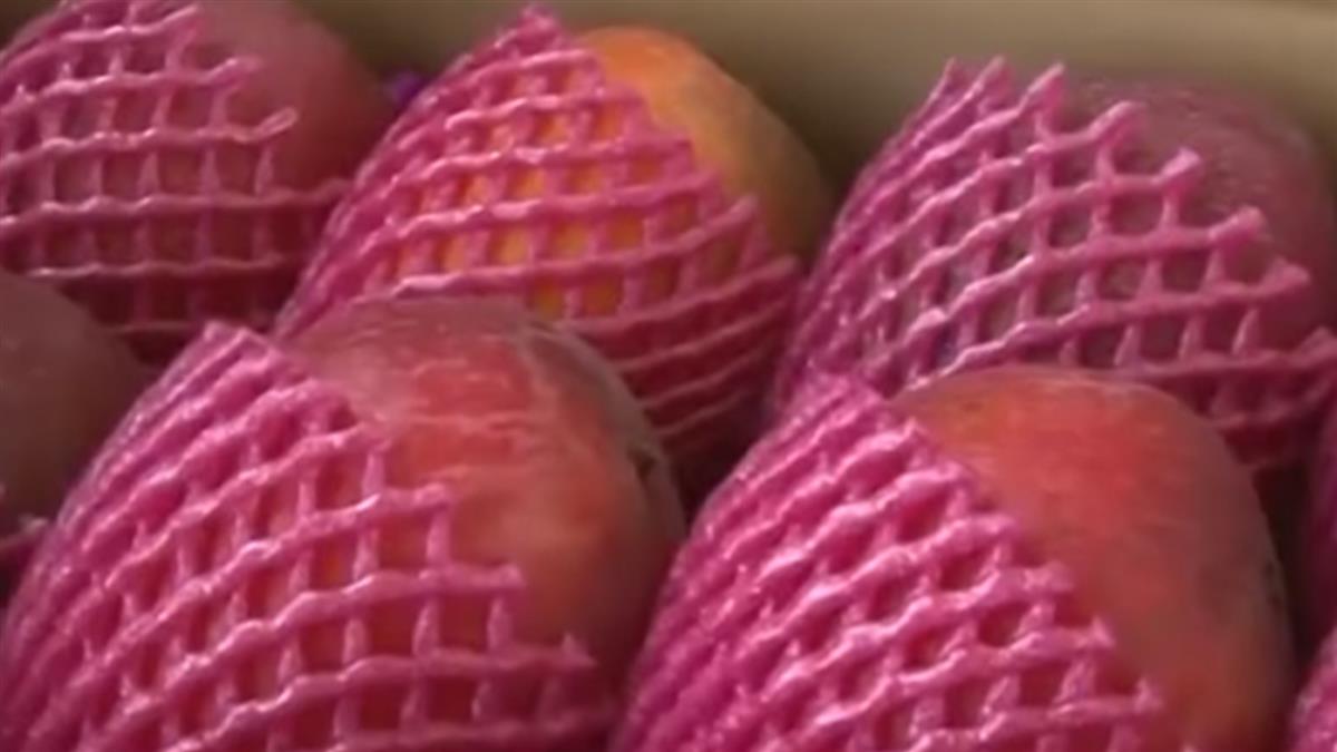 台芒果香港驗出新冠病毒 防檢局駁斥