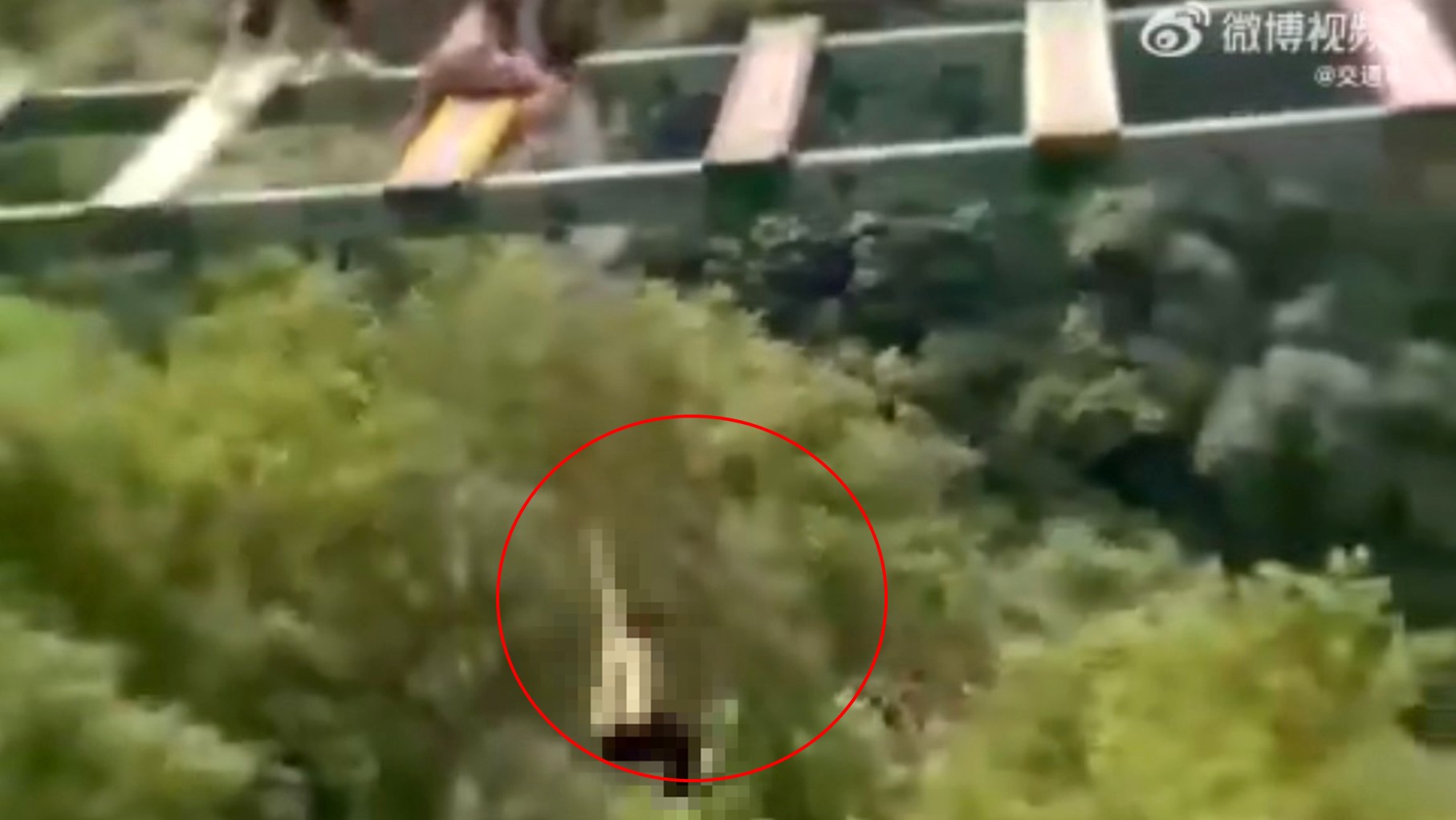 ▼男童從懸空橋上墜落。(圖/翻攝自交通事ㄦ微博)