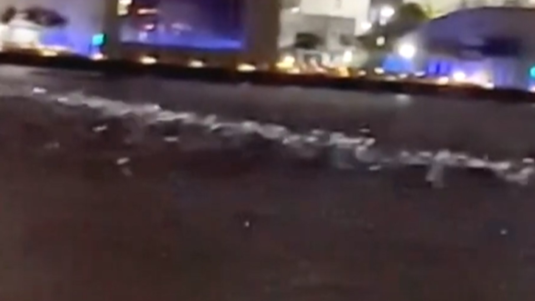 ▼愛河的魚在地震時跳出水面。（圖／東森新聞）