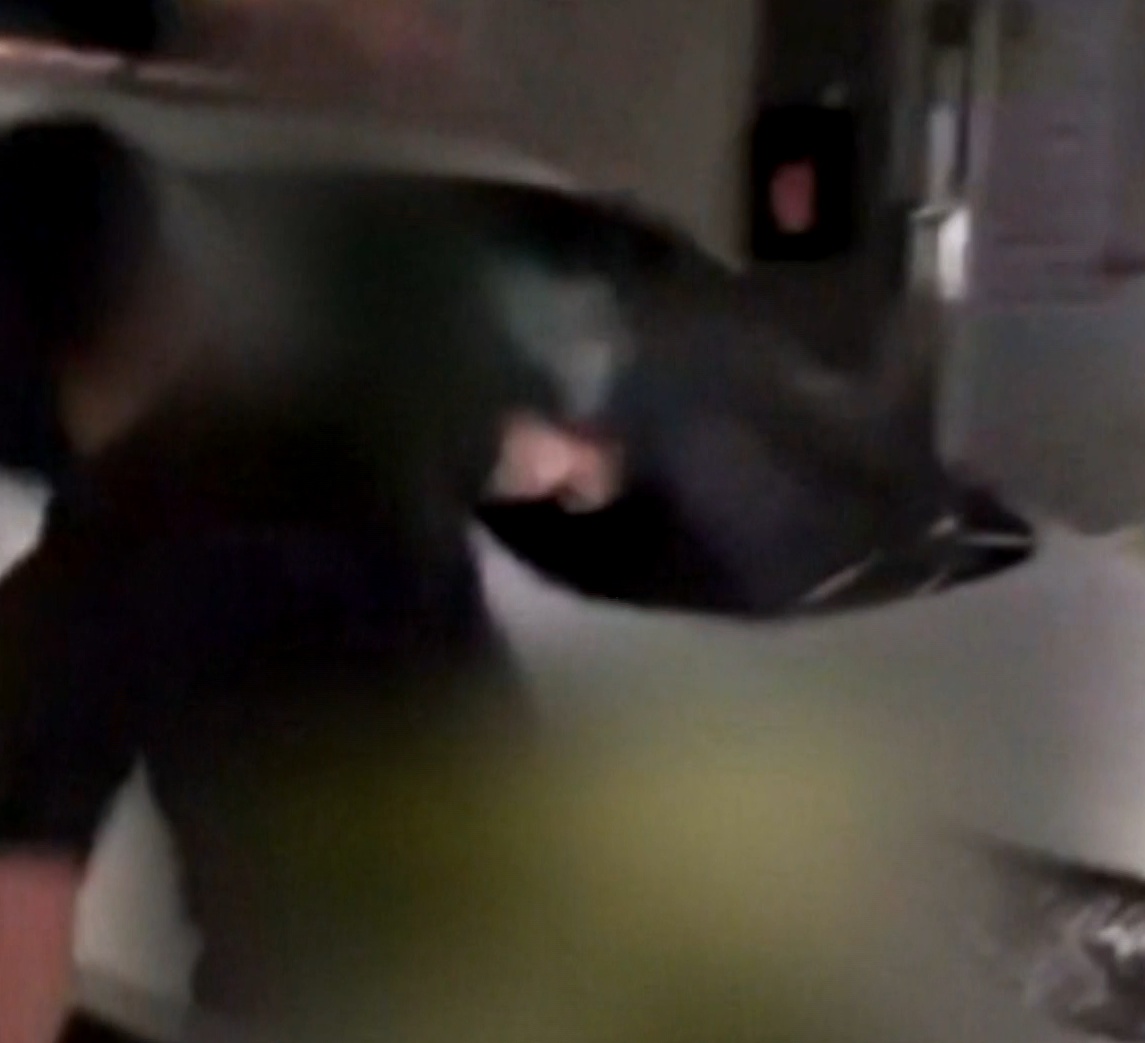 ▼高雄爆發一起砸車案件。（圖／東森新聞）