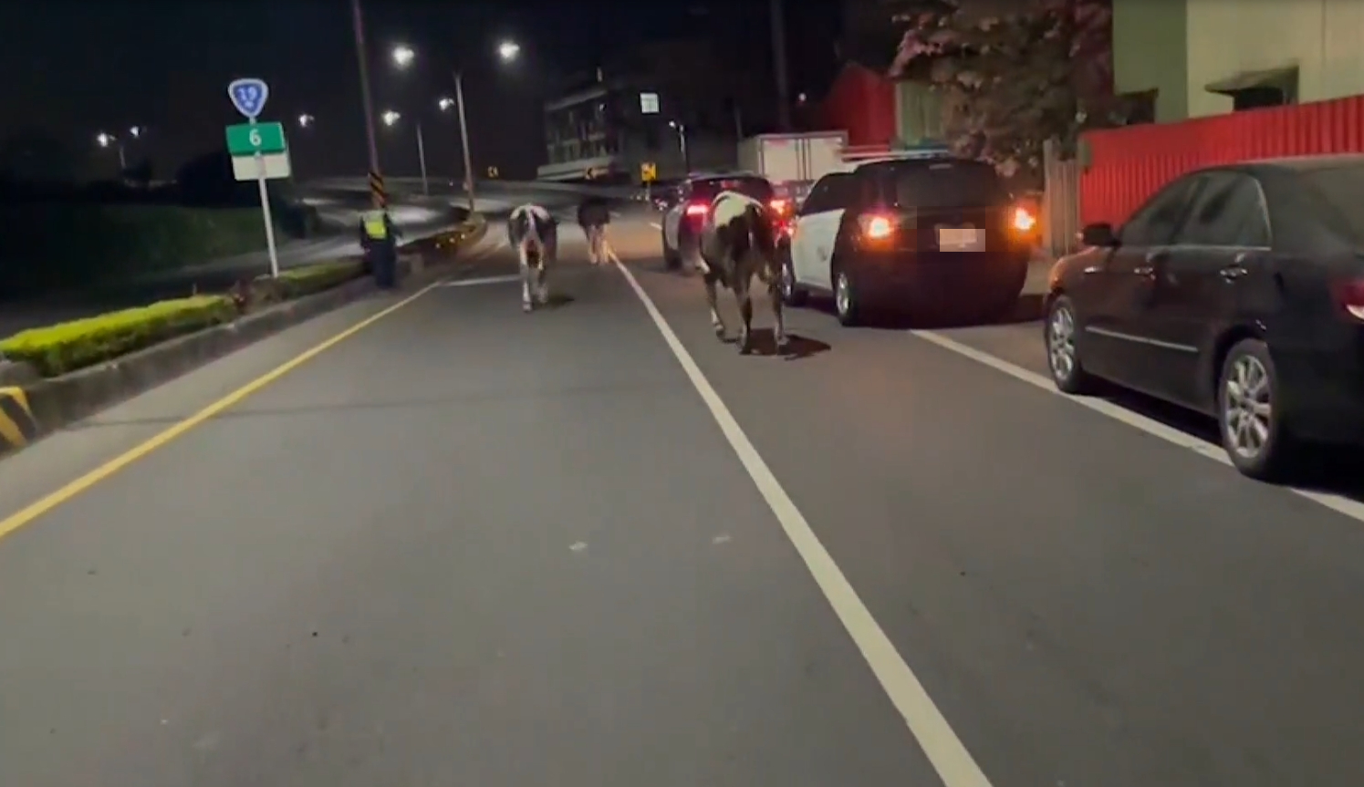 ▼警方到場維持秩序，將牛群趕到路邊。（圖／東森新聞）