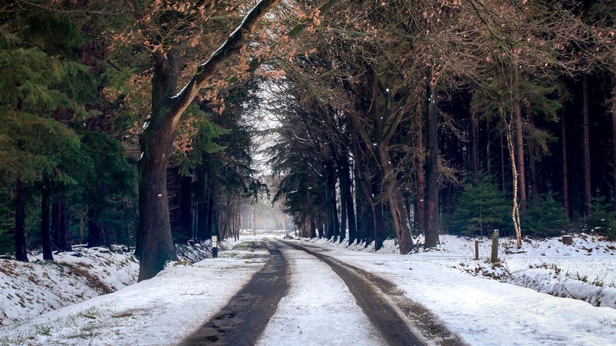 土壤濕軟戰事放緩 烏防長：地面結冰後將恢復反攻