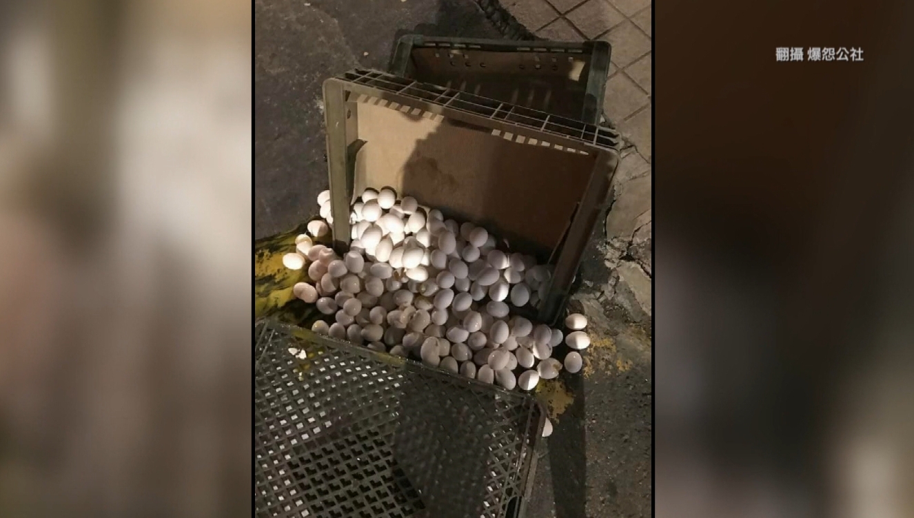 ▼近期台灣蛋價漲、數量少，這一摔也讓人好心痛。（圖／翻攝自爆怨公社）