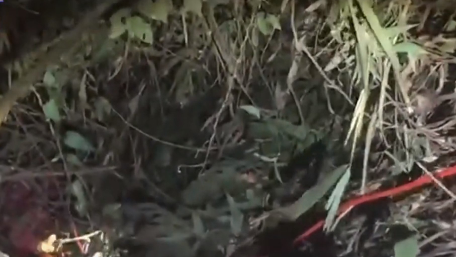 ▼林男駕車沿著台18線阿里山公路下山，突因不明原因偏離車道，衝向對向邊坡，車子摔落30公尺，最後翻覆於169縣道22.1公里處。（圖／東森新聞）