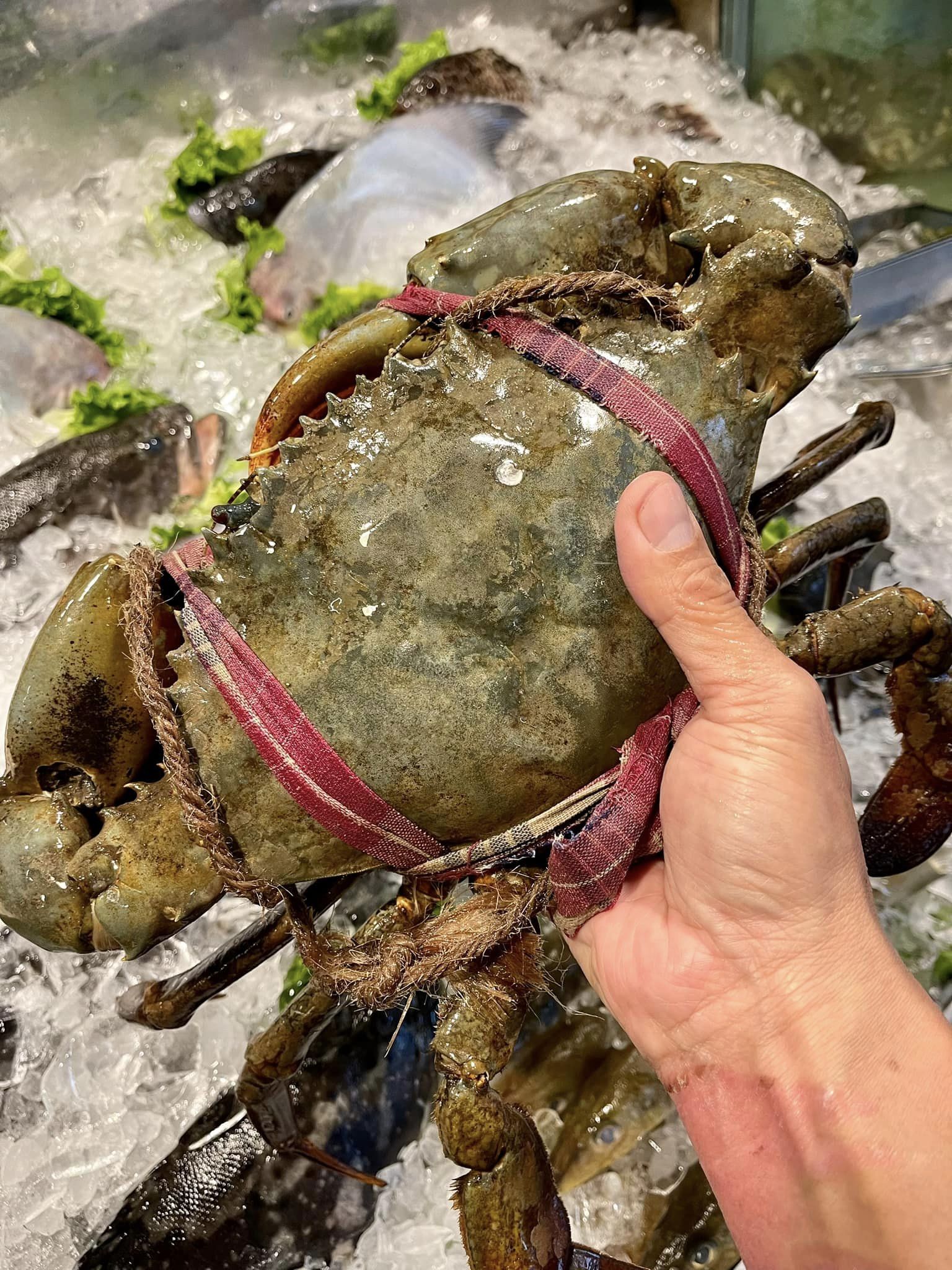 ▼梅子餐廳出面澄清自家海鮮價格。（圖／翻攝自梅子餐廳臉書）