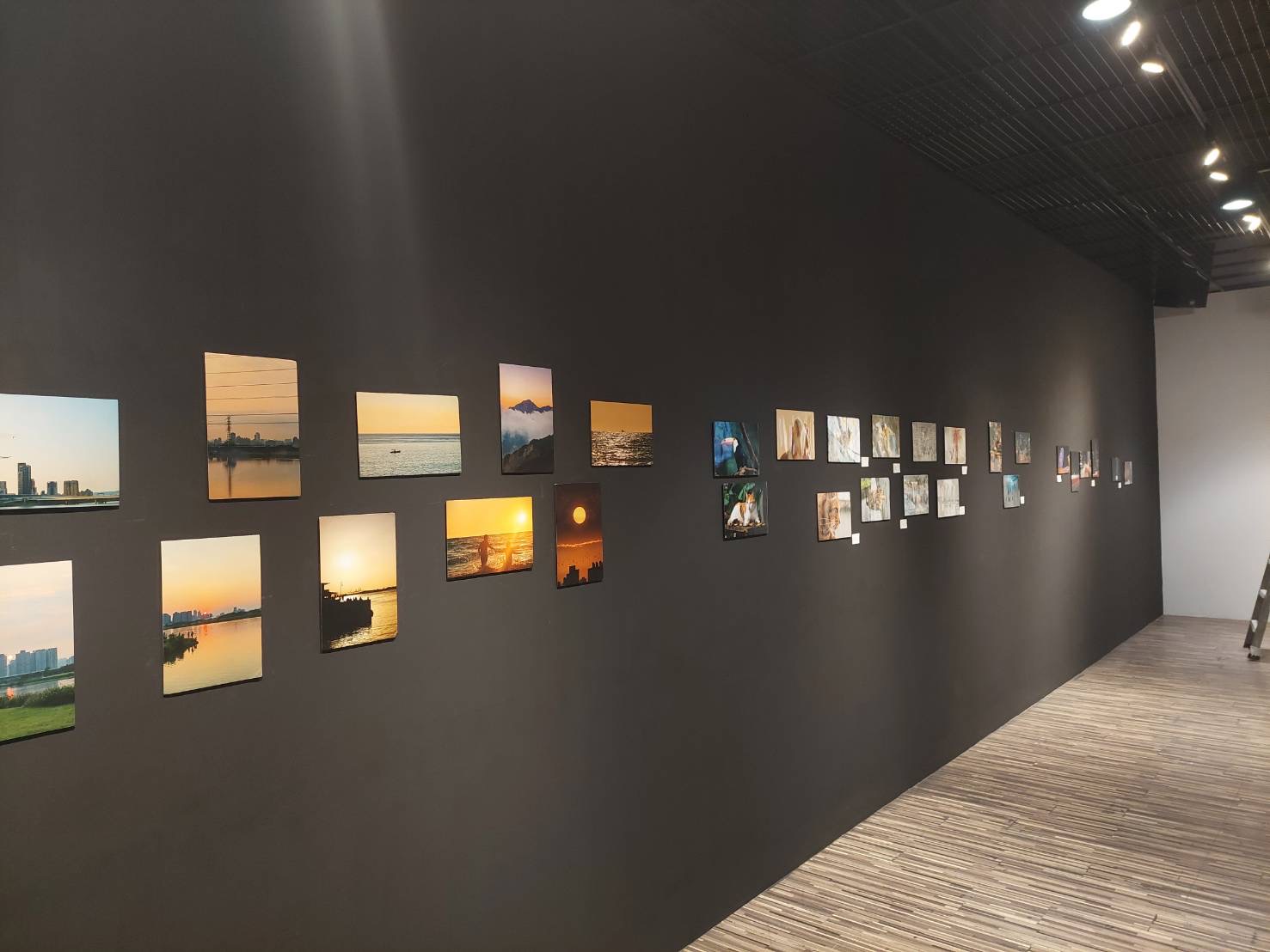 建景攝影聯展明起開跑，設有7大展區