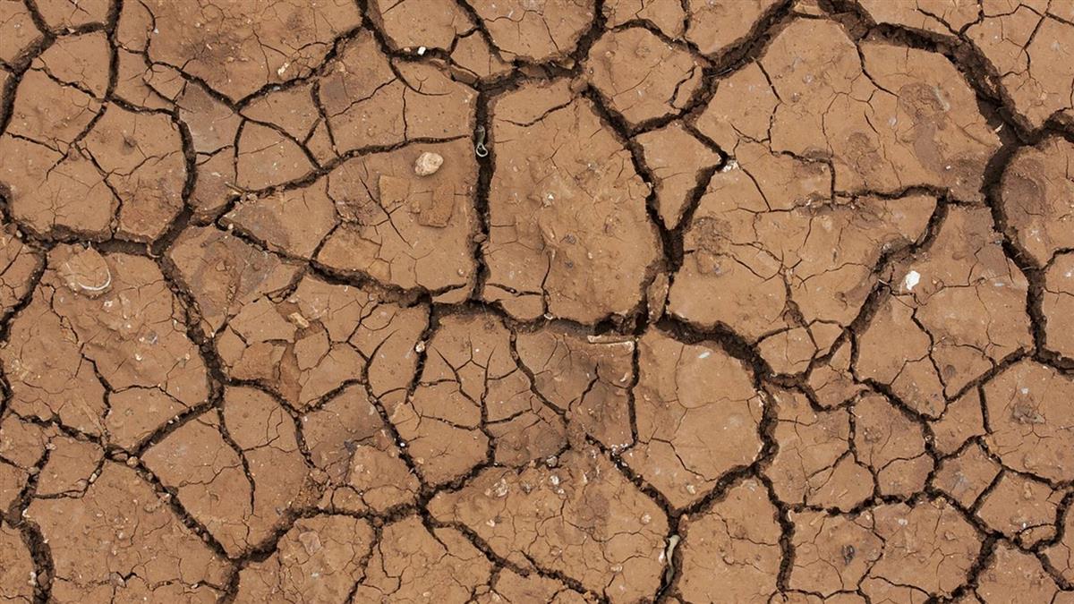 全球均溫連2日創高 聯合國：聖嬰現象恐達中等程度