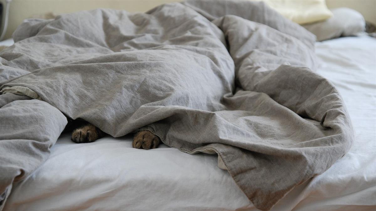 立秋「絕日」禁行房 命理師：1次恐折壽3年