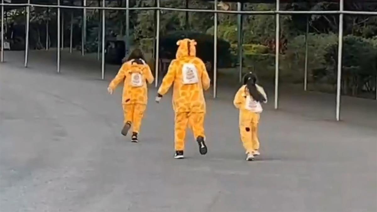 元旦人潮多！「小猛獸」路跑家長笑 水豚寶寶吃草萌