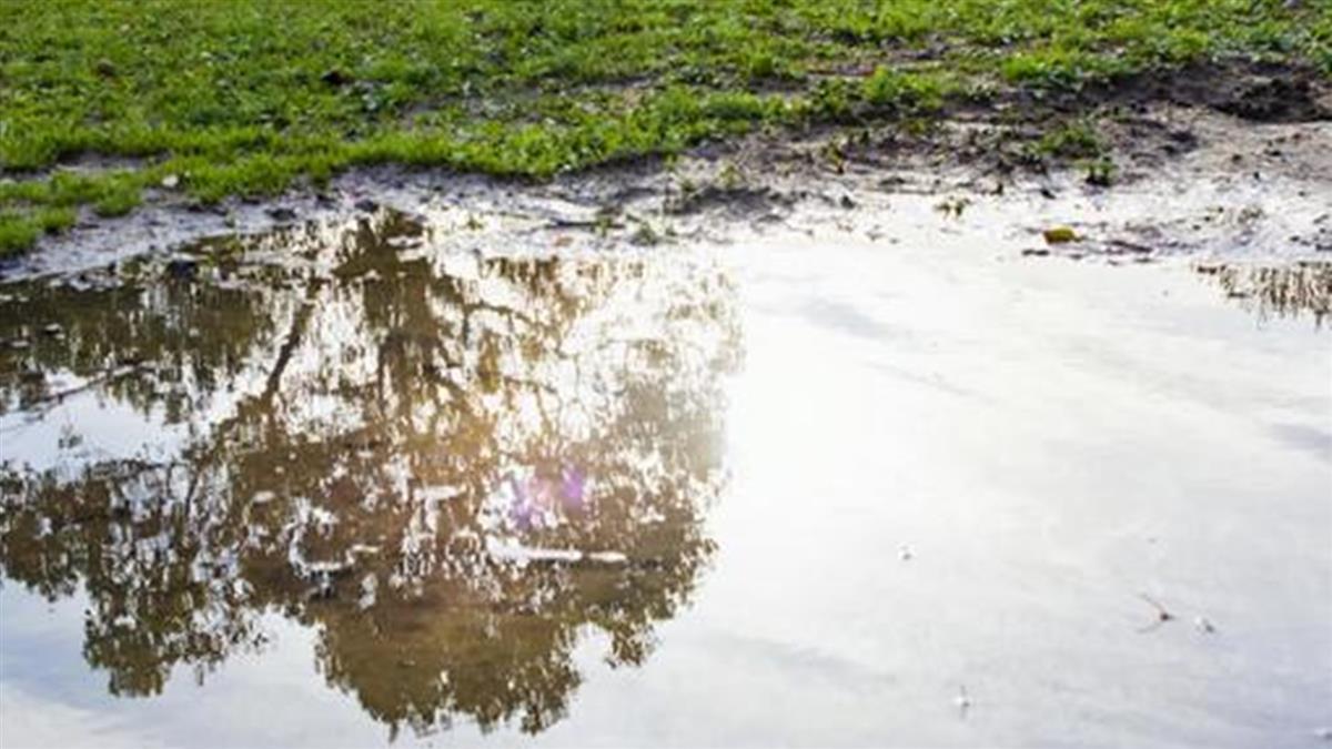 男孩池塘抓青蛙採到人骨 DNA一驗「是20年前失蹤通緝犯」