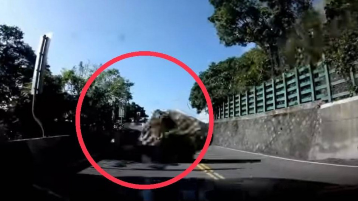 7.2強震襲蘇花！駕駛飆速倒退 「巨石狠砸」瞬間曝光