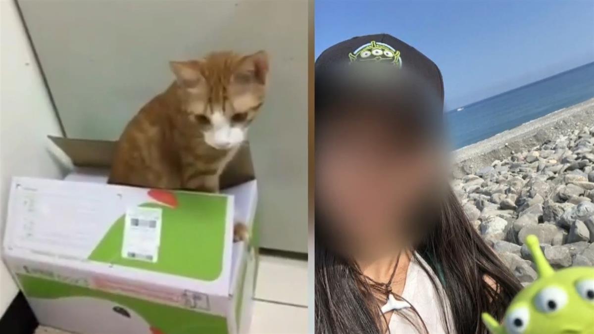 花農女師救貓罹難 父親急奔殯儀館見愛女最後一面