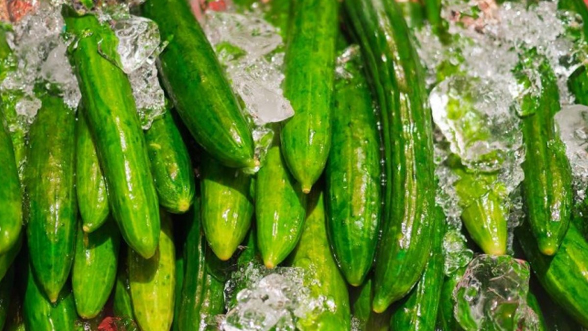 許多人愛吃的涼拌菜，其中就暗藏中毒風險。（圖／123RF）