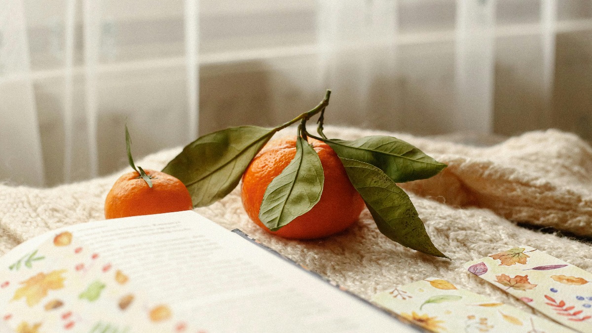 柑橘類是冬天盛產的水果，這時橘子口感好，價格也不高，是不少人飯後水果的第一選擇。（示意圖／翻攝自pixabay）