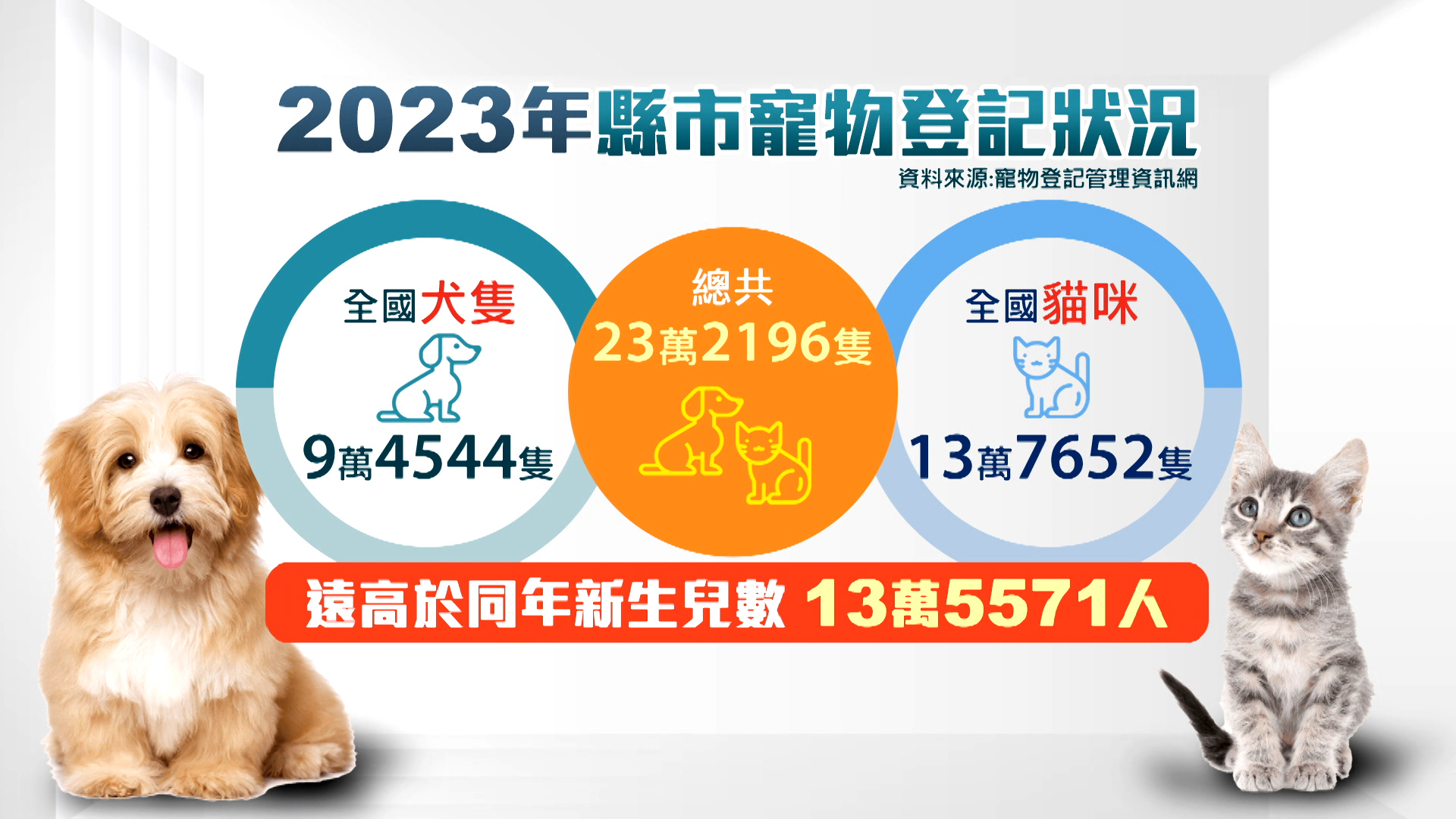 2023年縣市寵物登記狀況。（圖／東森新聞）