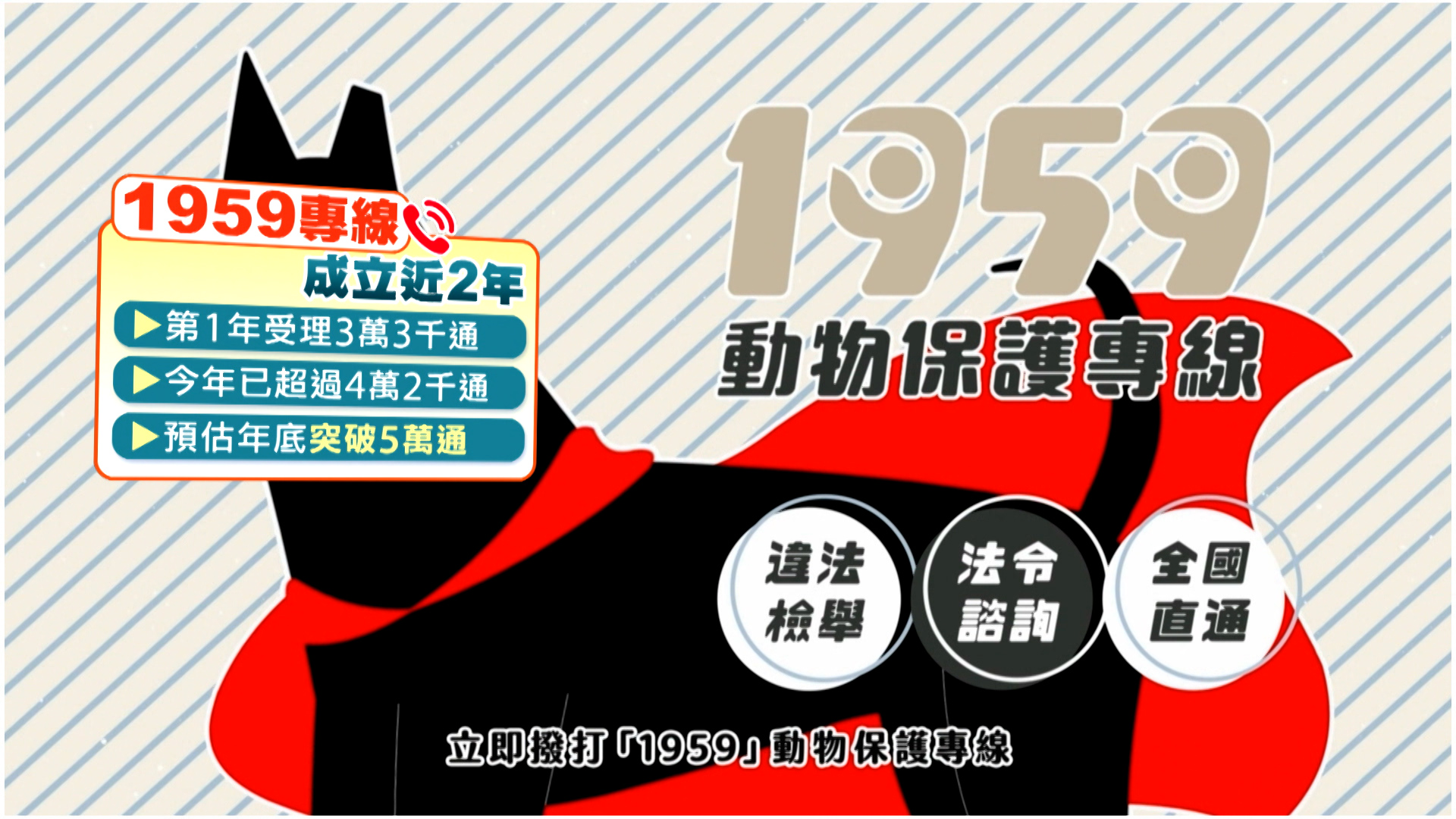 <a href='/search/tags/1959動物保護專線/' target='_blank'>1959動物保護專線</a>。（圖／東森新聞）