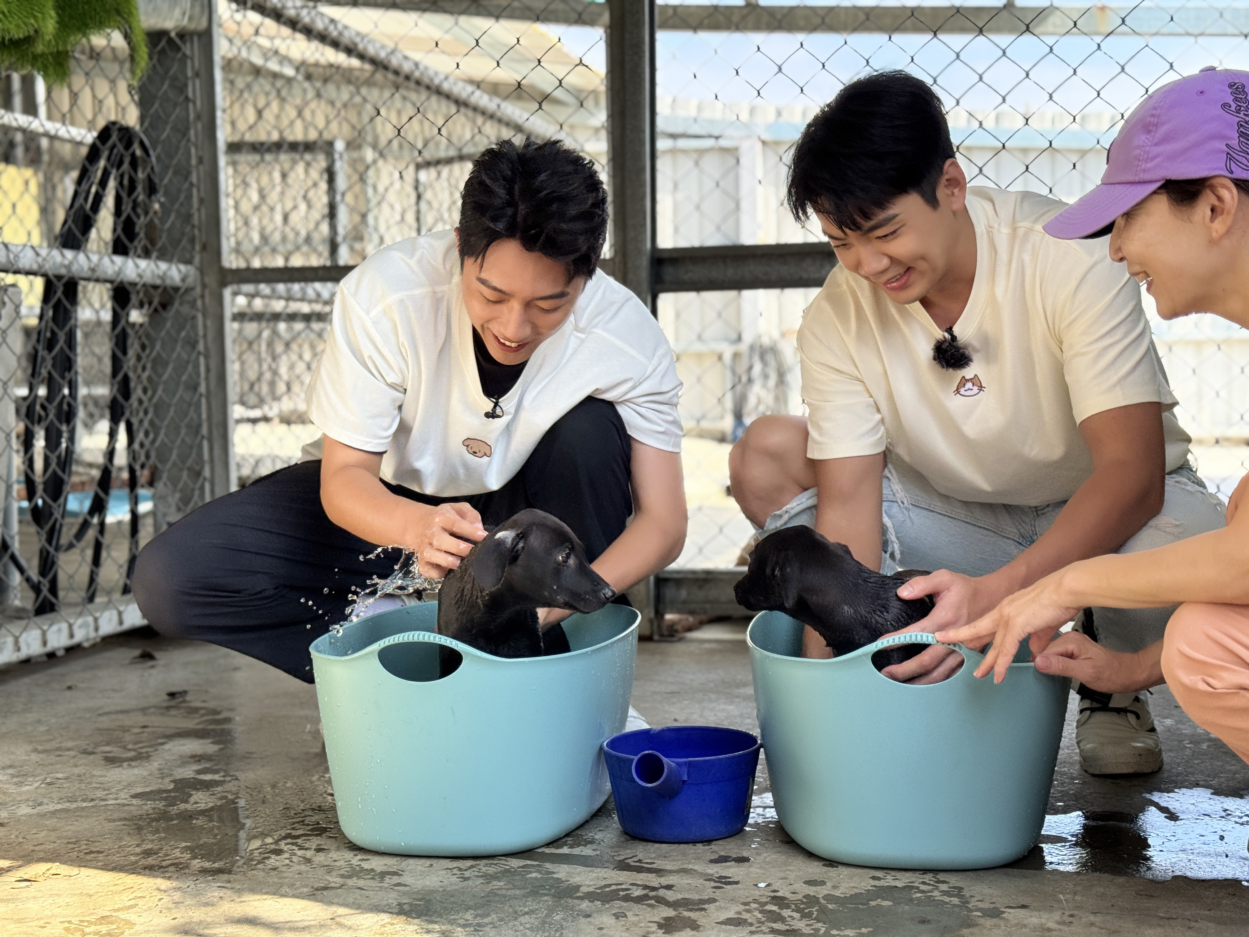 愛心大使蔡凡熙、禾浩辰替受傷狗狗洗藥浴。（圖／快電商提供）