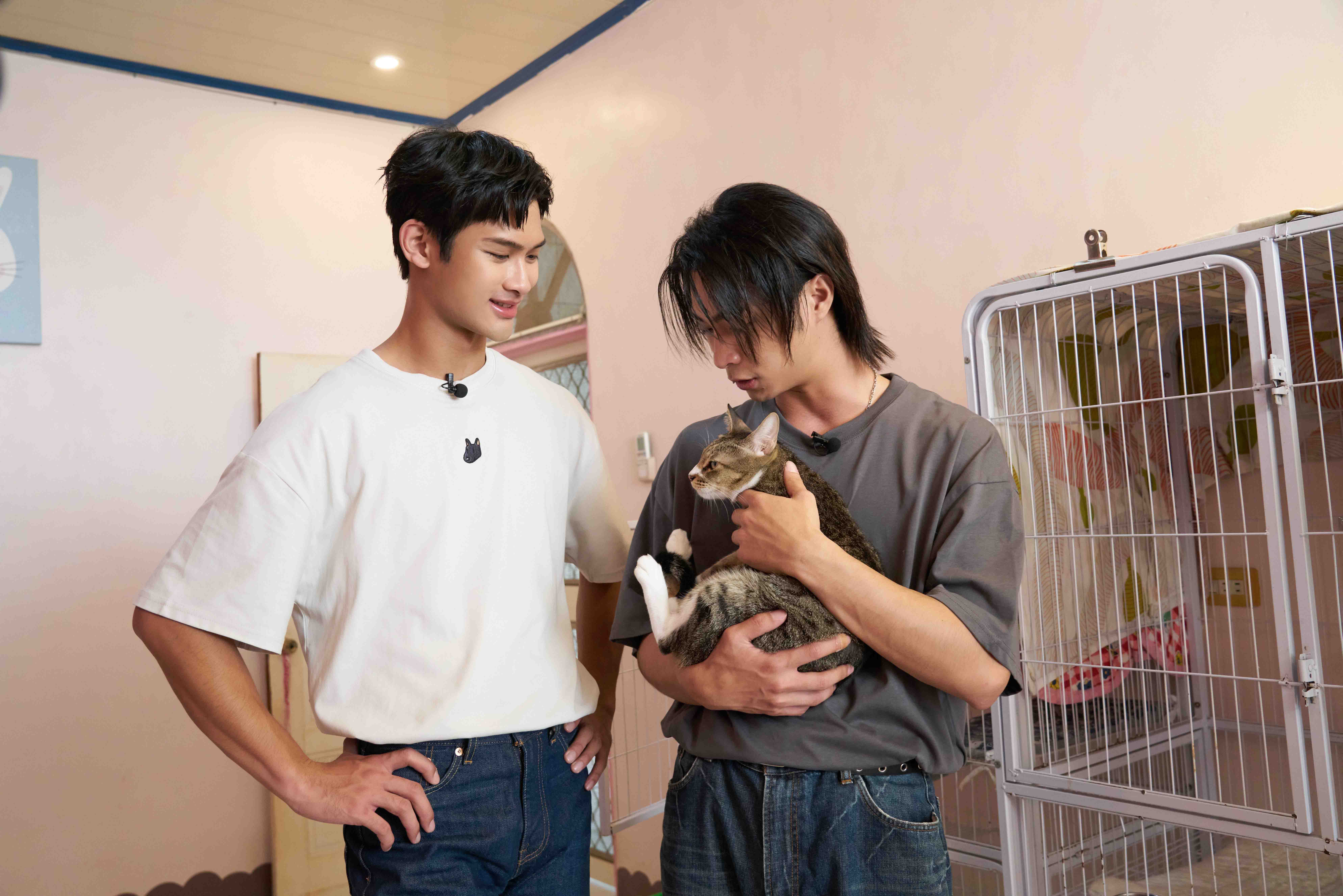 夏浦洋、MAX與浪浪貓咪溫馨互動。（圖／快電商提供）