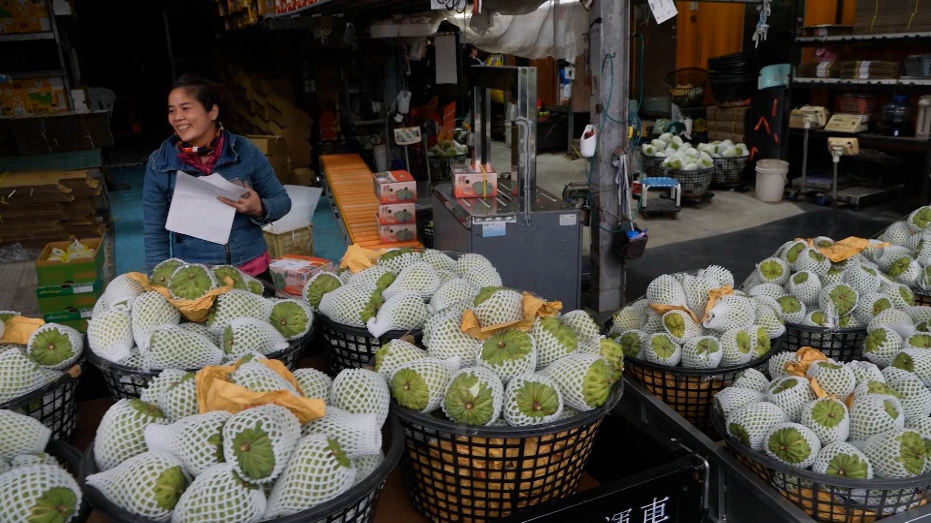 鳳梨釋迦是臺東最具代表性的優質水果。（圖／東森新聞）