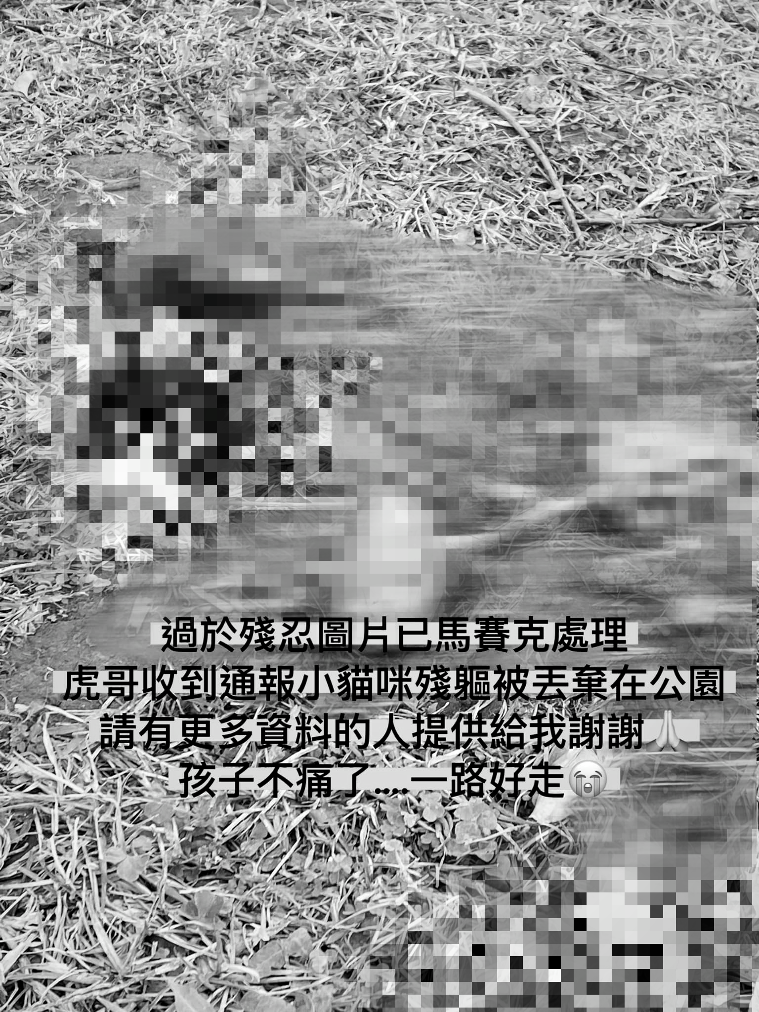 邵柏虎發文提到，自己收到非常殘忍的通報。（圖／翻攝自邵柏森-虎哥救援大小事臉書）