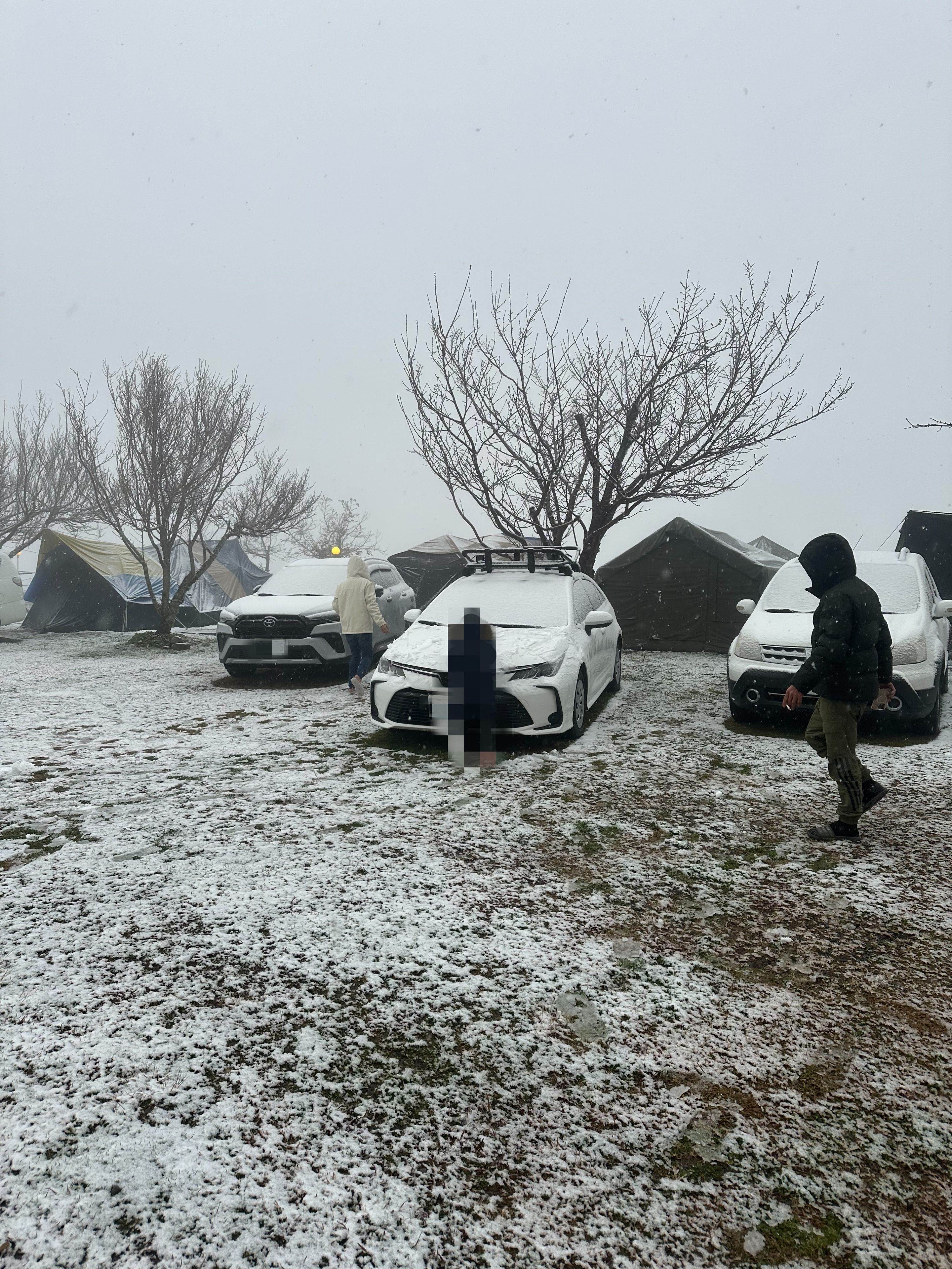 848446-fotor-20250127124614