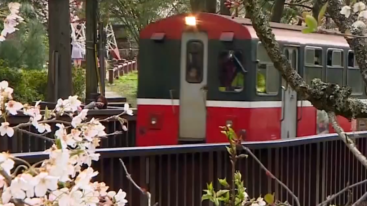 阿里山國家風景區原本是國際矚目的觀光勝地，甚至榮獲《紐約時報》評選為2025年全球52個最值得造訪的景點之一。（圖／東森新聞）