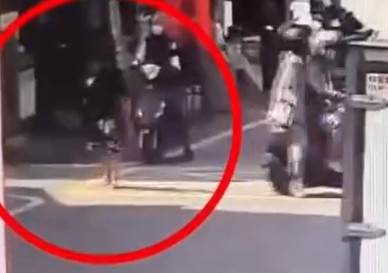 螢幕擷取畫面 2025-02-07 104239