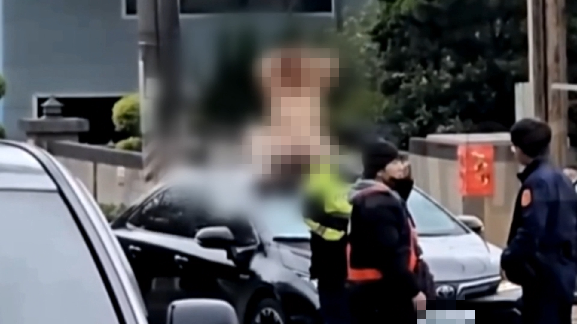 #1_Channel 3---2025_02_08---11_30_40---H264  8 bit---255---split004.mp4_snapshot_00.48.095-fotor-20250208155132