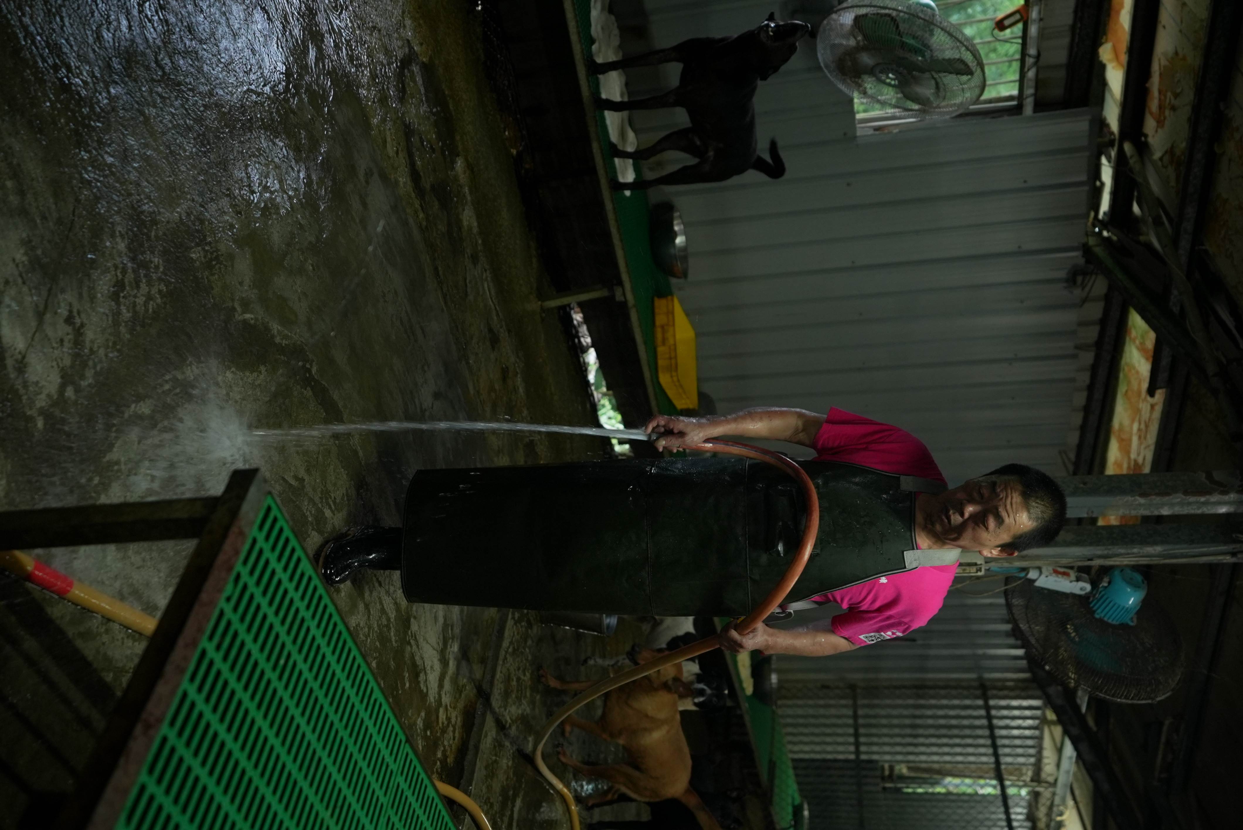 張媽媽狗園的義工進行環境清理，致力於提供浪浪更好的生活條件。 （圖／業者提供）