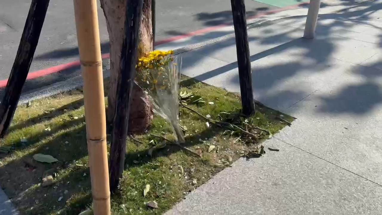 761273993.347874.mp4_snapshot_01.20.145