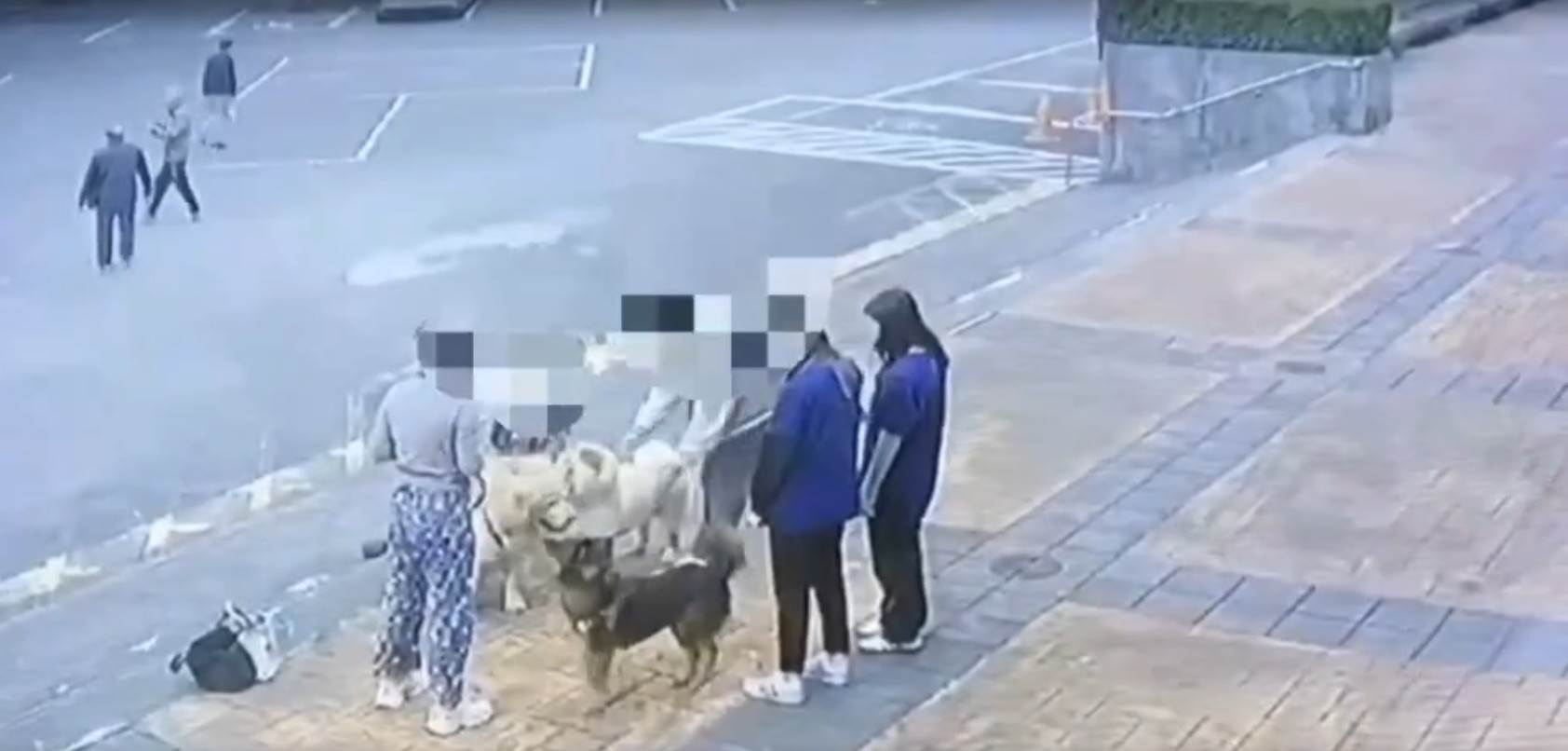 messageImage_1739708328810