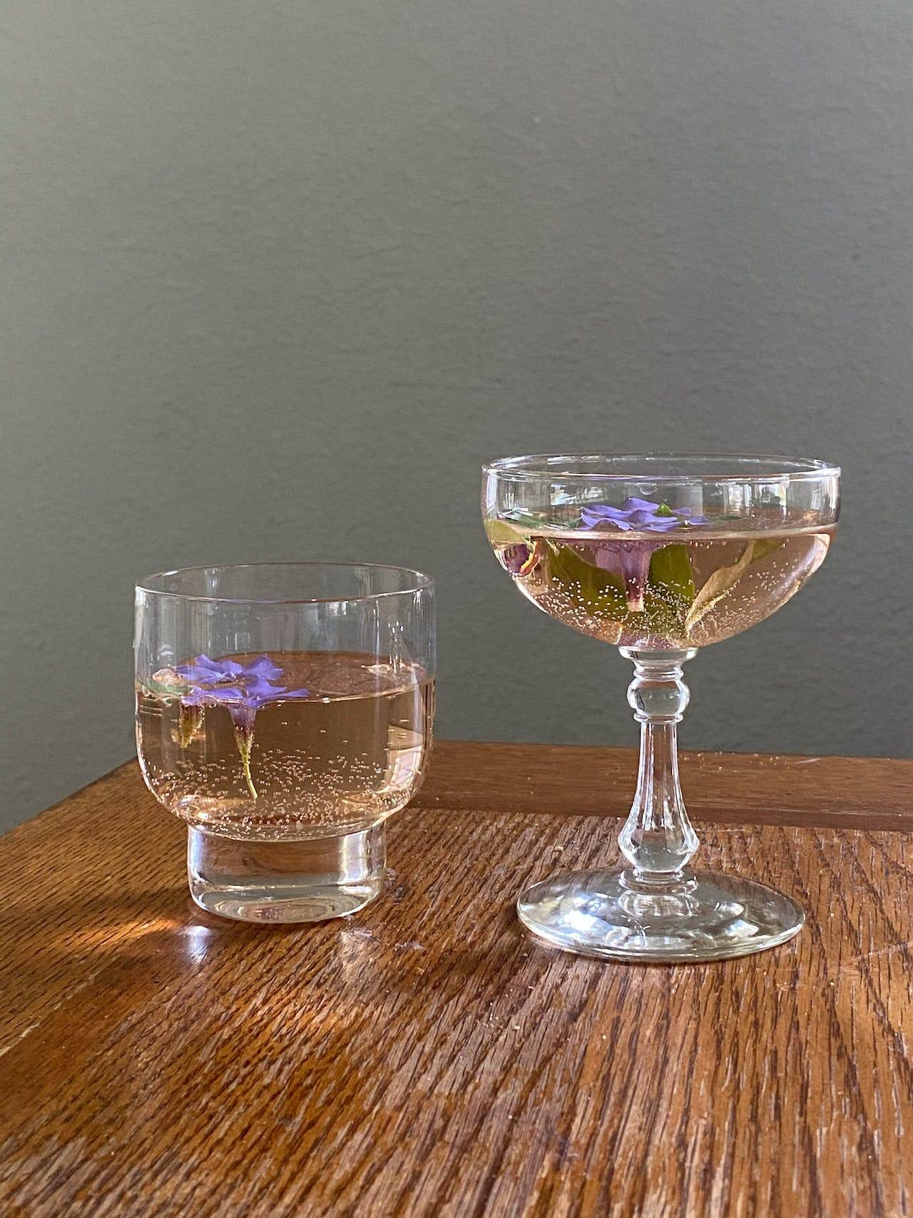 pexels-jill-burrow-6858621